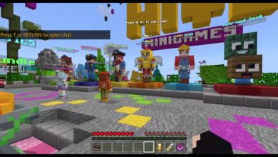 Hive Minecraft Server Changed Skin