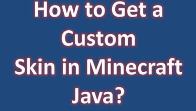 How to Get a Custom Skin in Minecraft Java Edition